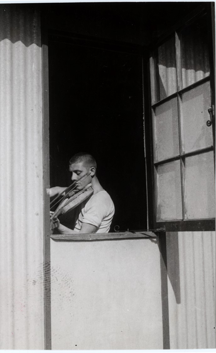 Creative captivity archive image 3