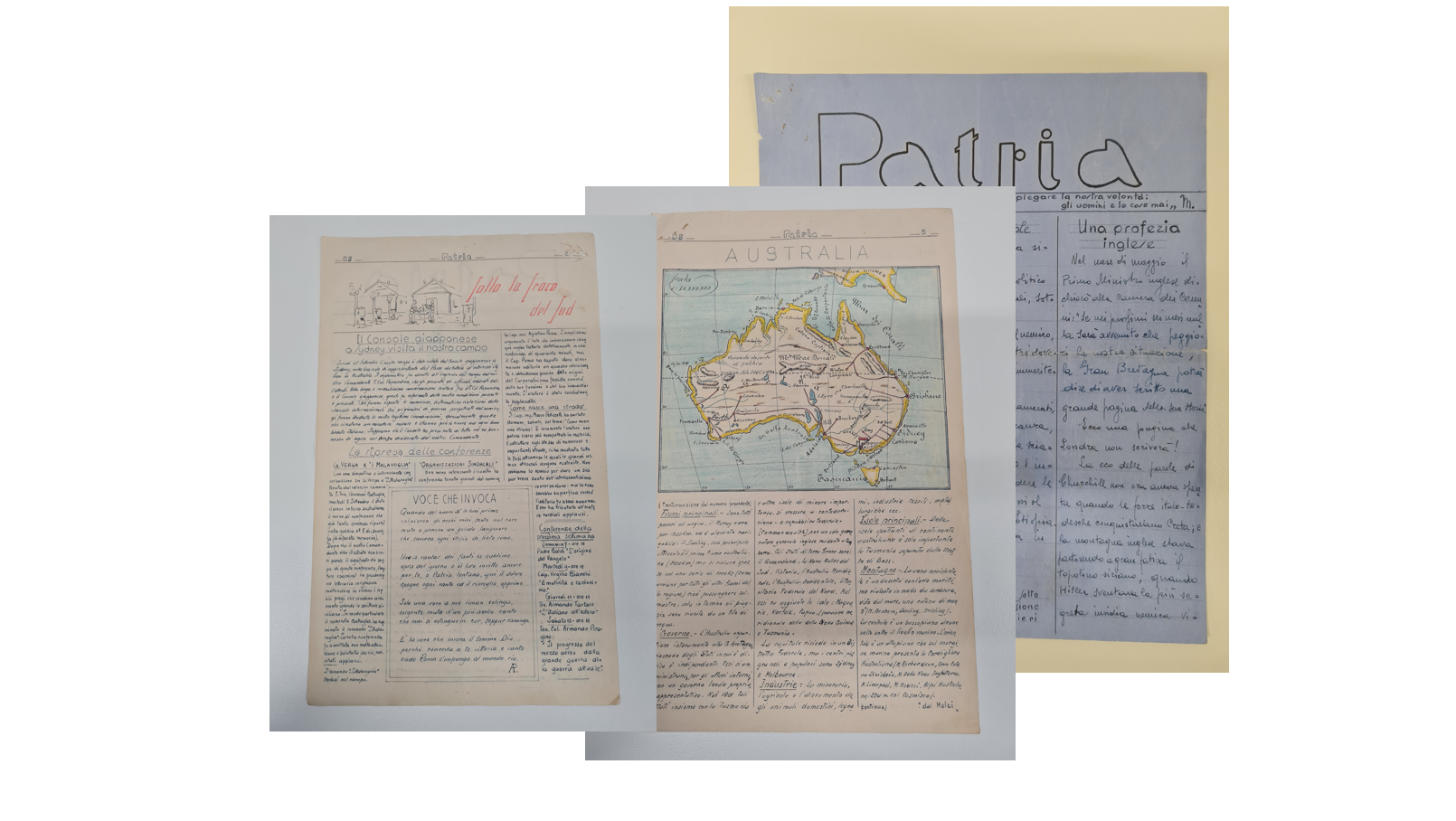 Creative captivity archive image 7